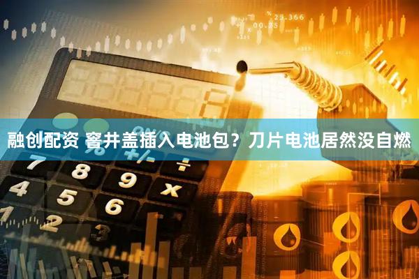 融创配资 窨井盖插入电池包？刀片电池居然没自燃