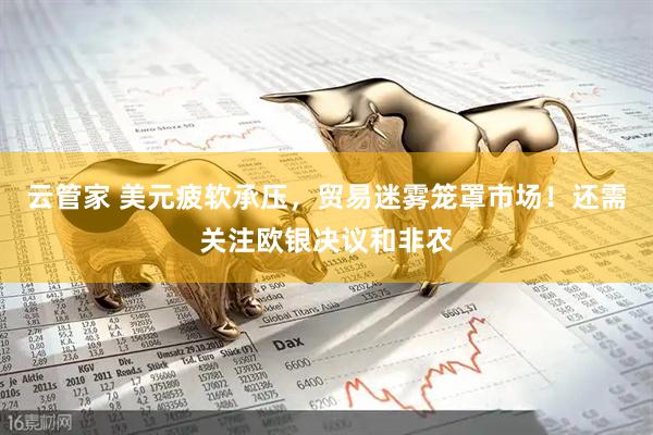 云管家 美元疲软承压，贸易迷雾笼罩市场！还需关注欧银决议和非农