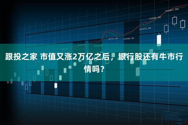 跟投之家 市值又涨2万亿之后，银行股还有牛市行情吗？