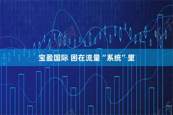 宝盈国际 困在流量“系统”里